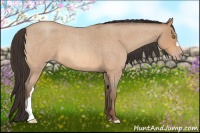 Horse Color:Amber Champagne Roan 