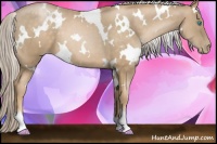 Horse Color:White Spotted Chocolate Palomino Pearl 