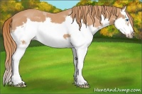 Horse Color:Chestnut Splash Frame 
