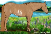 Horse Color:Chestnut Splash Frame Brindle