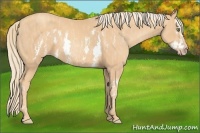 Horse Color:Gold Champagne Splash Frame  Brindle