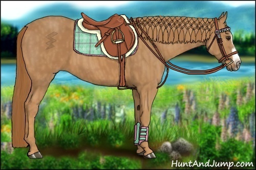 Horse Color: Chestnut Splash Frame  Brindle