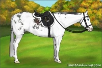 Horse Color:Black Sabino Splash