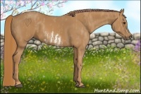 Horse Color:Chestnut Splash Frame  Brindle