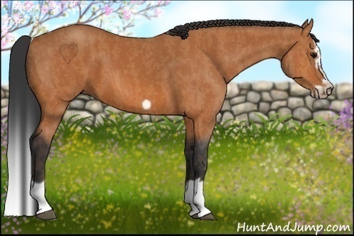 Horse Color:Bay Splash Frame  Brindle