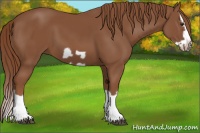 Horse Color:Chestnut Splash Frame 