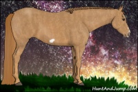 Horse Color:Chestnut Splash Frame  Brindle