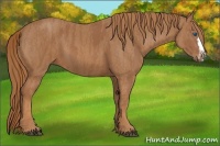 Horse Color:Chestnut Splash Frame  Brindle