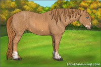 Horse Color:Chestnut Splash Frame  Brindle