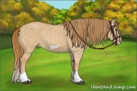 Horse Color:Red Dun Splash Frame Brindle