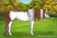 Horse Color:Chestnut Splash Frame  Brindle