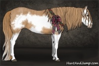 Horse Color:Chestnut Splash Frame Brindle