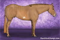 Horse Color:Chestnut Splash Frame  Brindle