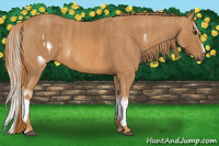 Horse Color:Chestnut Splash Frame Brindle
