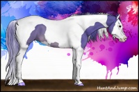 Horse Color:Watercolor Brown Splash Tobiano