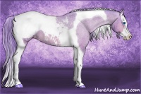 Horse Color:Watercolor Bay Splash Tobiano Appaloosa 