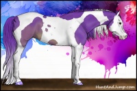 Horse Color:Watercolor Brown Splash Tobiano 