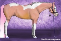 Horse Color:Watercolor Bay Splash Tobiano 