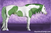Horse Color:Watercolor Bay Splash Tobiano 