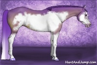 Horse Color:Watercolor Bay Splash Frame 
