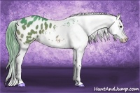 Horse Color:Watercolor Bay Splash Appaloosa 
