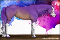 Horse Color:Watercolor Brown Splash