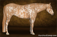 Horse Color:Chestnut Splash Frame Rabicano Brindle