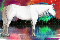Horse Color:ERROR: UNKNOWN ANOMALY Brindle