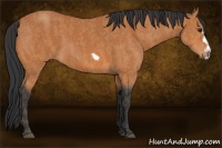 Horse Color:Bay Splash Frame  Brindle