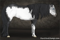 Horse Color:Brown Frame 