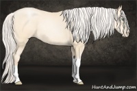Horse Color:Silver Amber Cream Champagne Pearl Tobiano Rabicano