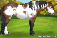 Horse Color:Bay Frame 