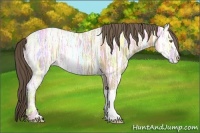 Horse Color:Classic Cream Champagne Ice 