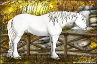 Horse Color:Gold Cream Champagne Ice Dun Sabino 