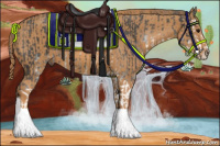 Horse Color:Brown Sabino Splash Brindle