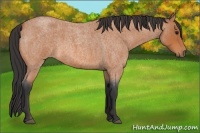 Horse Color:Bay Roan Rabicano 