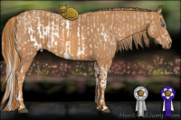 Horse Color:Red Roan Pearl Splash Frame Brindle