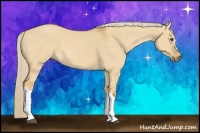Horse Color:Palomino Dun 