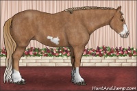 Horse Color:Chestnut Splash Frame  Brindle