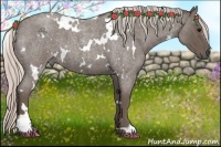 Horse Color:White Spotted Silver Blue Roan 