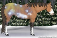 Horse Color:Bay Splash Frame  Brindle