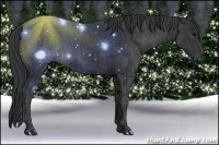 Horse Color:Black  Brindle
