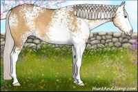 Horse Color:White Spotted Silver Buckskin Dun 