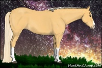 Horse Color:Palomino Roan Splash 