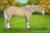Horse Color:Watercolor Silver Buckskin Roan Splash 
