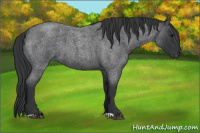 Horse Color:Blue Roan