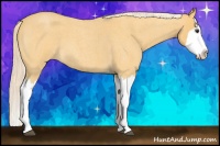 Horse Color:Palomino Roan Splash 