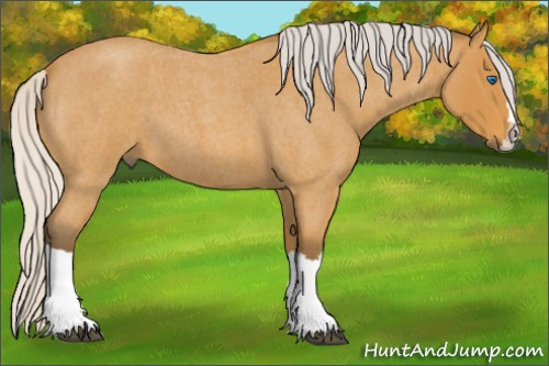 Horse Color: Silver Buckskin Roan Splash 
