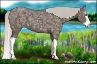 Horse Color:Silver Black Ice Splash 