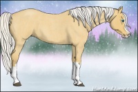 Horse Color:Silver Buckskin Roan Splash 